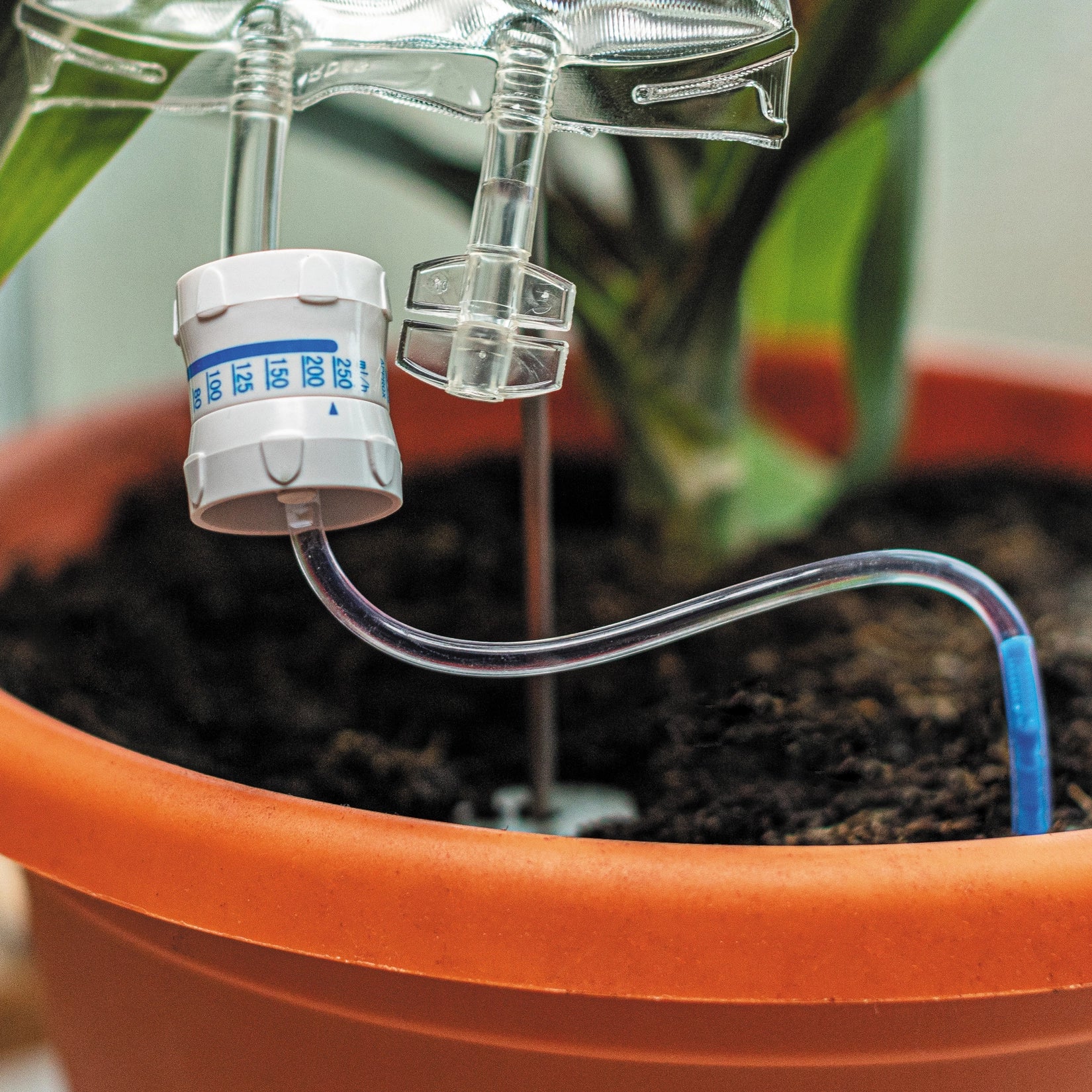 Plant Life Support Houseplant Watering Device - Image 6